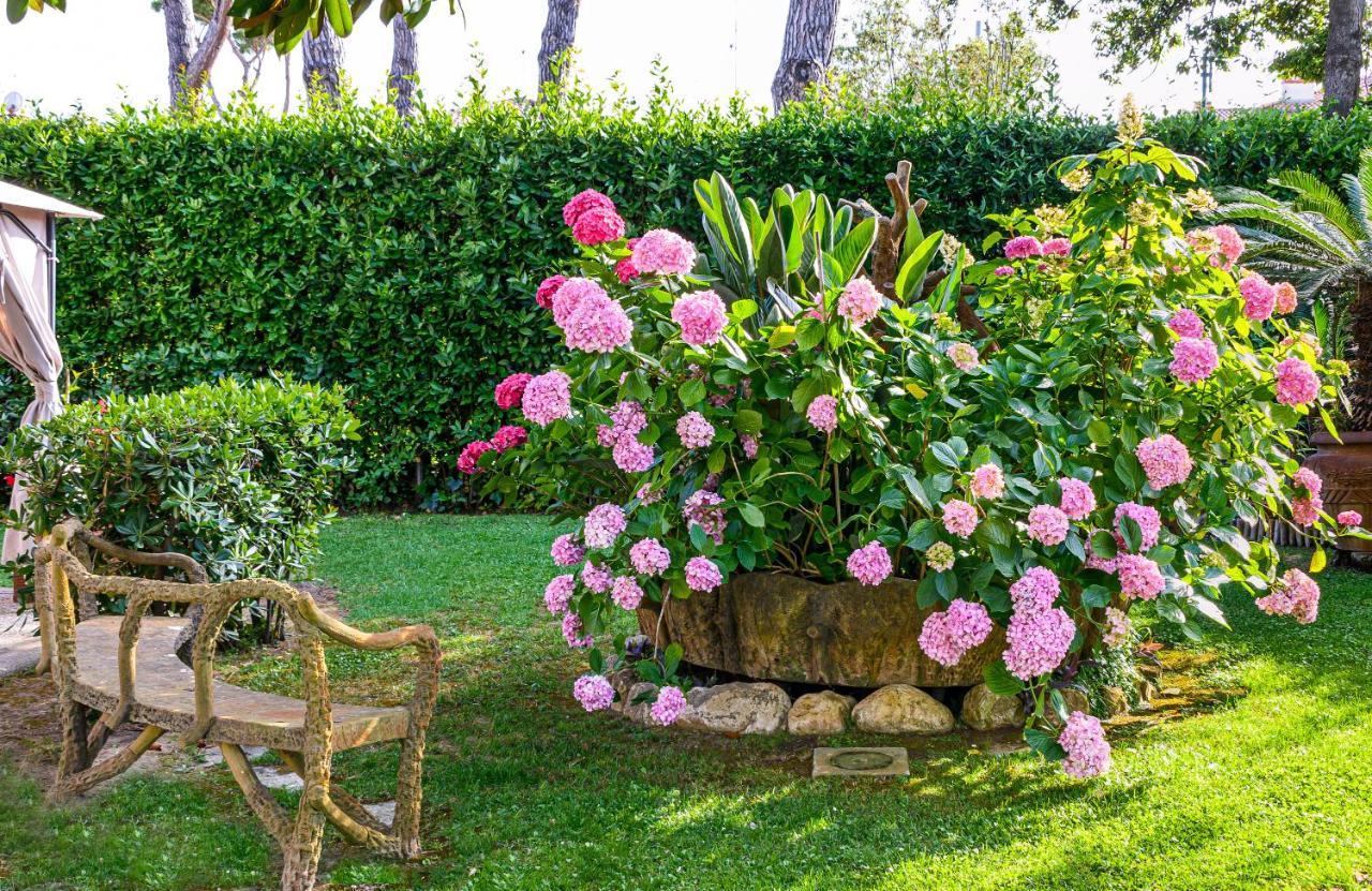 Hotel Ambra Forte dei Marmi Ngoại thất bức ảnh